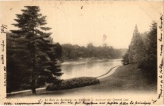 Carte postale ancienne Le Bois de Boulogne en Automne - Autour du Grand Lac
                                                                     à Paris
                                