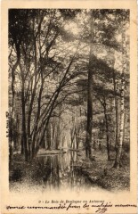 Bois de Boulogne en automne