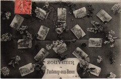 Fontenay aux Roses souvenir -
																					92260 Fontenay-aux-Roses
																			