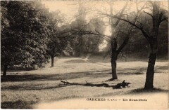 Garches Un Sous Bois à Garches