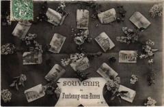 Fontenay aux Roses souvenir -
																					92260 Fontenay-aux-Roses
																			