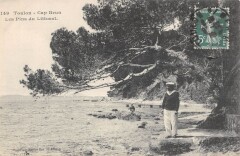 Toulon Cap Brun Les Pins Du Littoral à Toulon