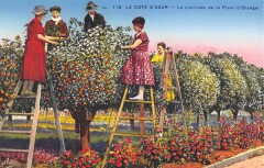 Cote D'Azur Cueillette De La Fleur D'Oranger -
													83 Var
												