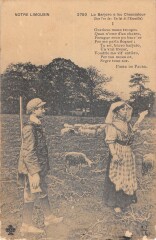 Notre Limousin Le Chasseur