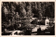 Saint-Alyre Ses bois, sa chasse, sa peche France