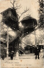 Robinson Le Vrai Arbre