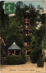 Robinson Le Grand Arbre