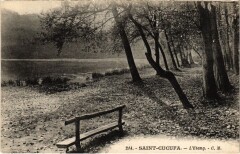 Rueil Etang Saint-Cucufa