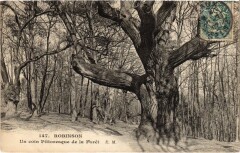 Robinson un coin pittoresque de la Foret -
													92 Hauts de Seine
												