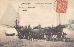 Berck Plage Debarquement Du Hareng à Berck
