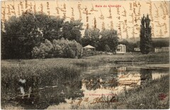 Bois de Chaville à Chaville