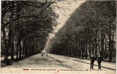Meudon Avenue du Chateau à Meudon