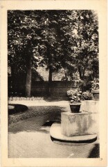 Neuilly Petit College un coin du Jardin