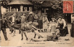 Le Plessis-Robinson Accident with a Donkey au Plessis-Robinson