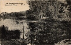 Etang de Saint-Cucufa - Ensemble de l'Etang