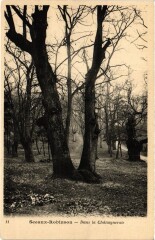 Sceaux Le Plessis-Robinson - Dans la Chataigneraie au Plessis-Robinson