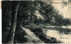 Etangs de Saint-Cucufa