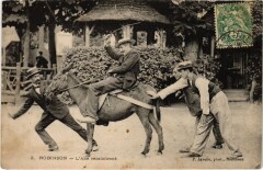 Le Plessis-Robinson L'Ane Recalcitrant au Plessis-Robinson