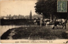 Chaville L'Etang de Brisemiche à Chaville