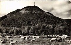 Auvergne Paturages France
