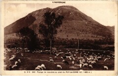Puy de Dome Pacage de moutons au pied France