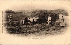 Auvergne La Fenaison France