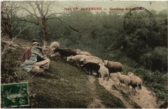 Auvergne Gardeuse de Moutons France