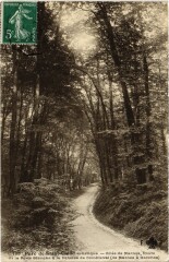 Saint-Cloud Parc - Allee de Marnes à Saint-Cloud