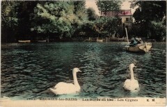 Enghien Les Bords du Lac Les Cygnes