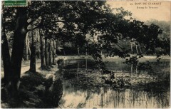 Bois de Clamart - Etang de Trivaux à Meudon
