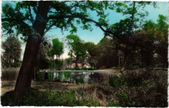 Bellevue Meudon - L'Etang de Trivaus à Meudon