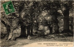 Montmorency La Chataigneraie un sentier sous bois -
																					95160 Montmorency
																			