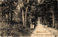 Ecouen Allee du Bois