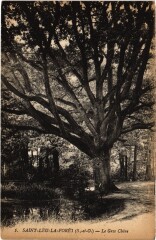 St Leu Le Gros Chene