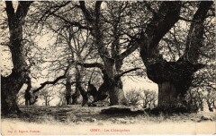 Osny Les Chataigniers