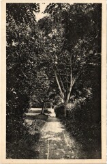 Bethanie une avenue
