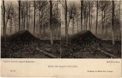 Bois de Saint-Cucufa - Stereo Postcard -
													92 Hauts de Seine
												