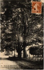 Bois de Meudon - L'Ermitage de Villebon à Meudon