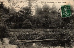 Etang de Saint-Cucufa - L'Arbre Couche