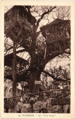 Le Plessis-Robinson Le Vrai Arbre au Plessis-Robinson