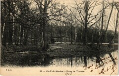 Foret de Meudon - Etang de Trevaux à Meudon