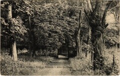 Foret de Meudon - Tour de Villebon - Allee des Duels à Meudon