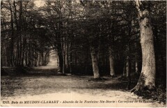Bois de Meudon-Clamart - Abords de la Fontaine Sainte-Marie à Clamart