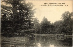 Saint-Cloud Le Parc - Le Cedre de Marie-Antoinnette à Saint-Cloud