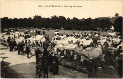 Chatillon Champ de foire France
