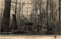 Meudon Le Chene des Missionnaires France à Meudon