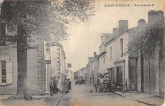 Champtoceaux Rue Principale -
													49 Maine et Loire
												
