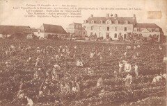 Culture H.grandin Ingrandes Anjou -
													49 Maine et Loire
												