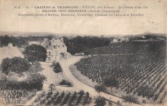 Souzay Chateau De Villeneuve