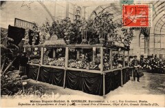 Expe Chrysantemes et Fruits Paris